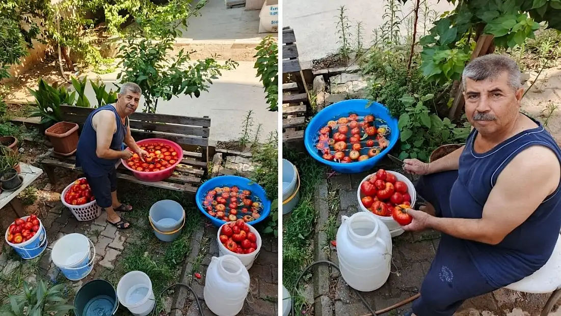 Havalar erken ısındı salça hazırlıkları başladı