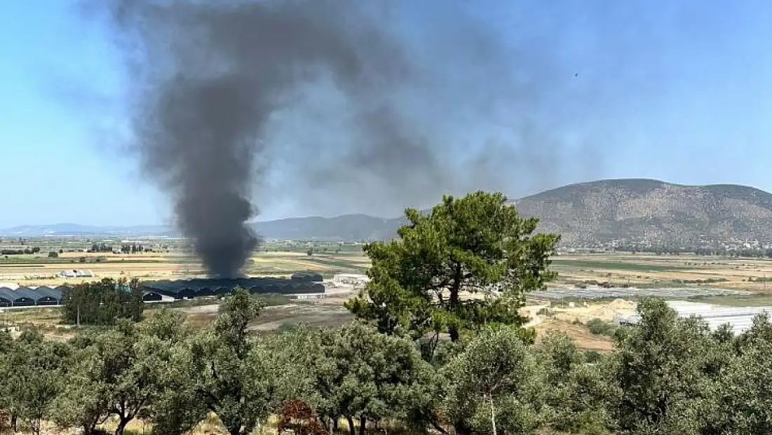 Milas’ta Balık Üretim Tesisi'nde yangın: Panik yaşandı