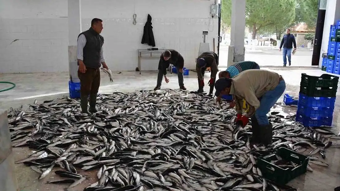 Muğla’nın Ocak ayı ihracat rakamları belli oldu!