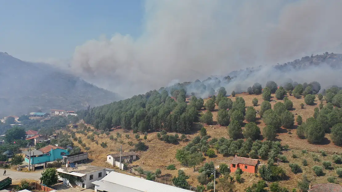 Aydın'da korkutan yangın! Muğla'dan takviye ekipler gönderiliyor