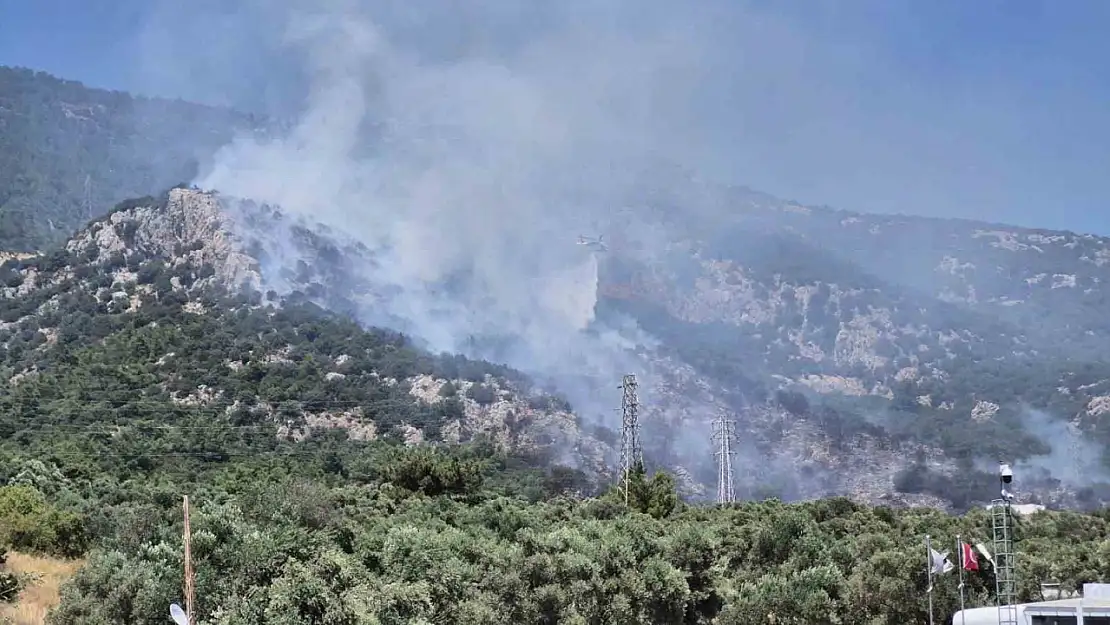 Bodrum'da çıkan orman yangını kontrol altına alındı