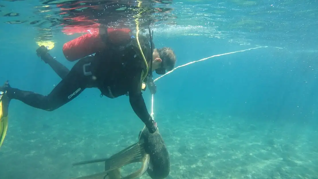 Bodrum'da deniz dibi temizliği seferberliği! 168 kilogram atık çıkarıldı