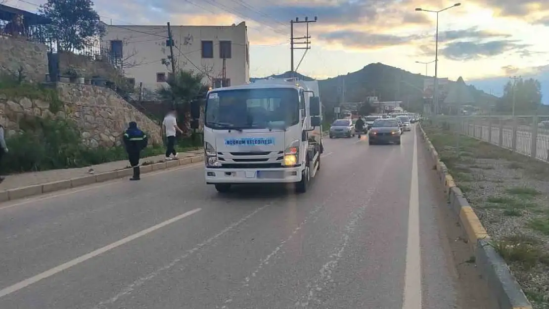 Bodrum'da köpekten korkup yola fırlayan kişi, çöp kamyonunun altında kaldı