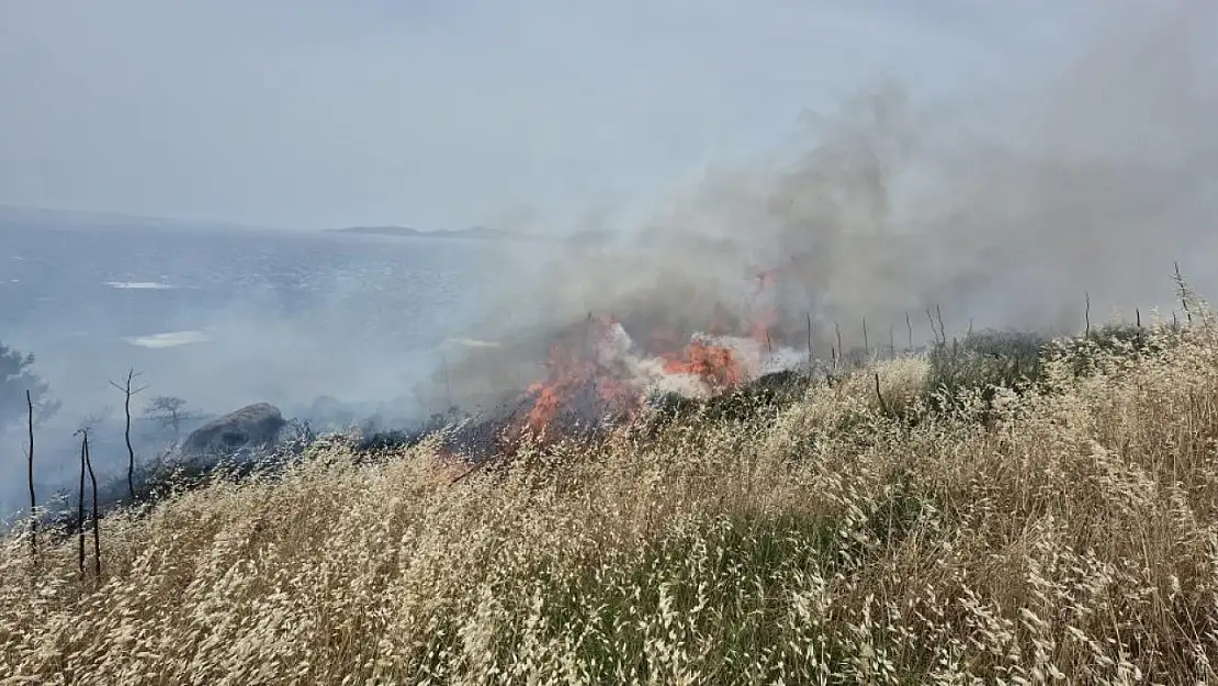 Bodrum'da makilik alanda yangın: 5 hektar zarar gördü