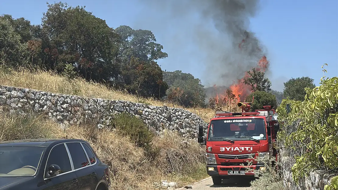Bodrum'da tarım arazisinde korkutan yangın!