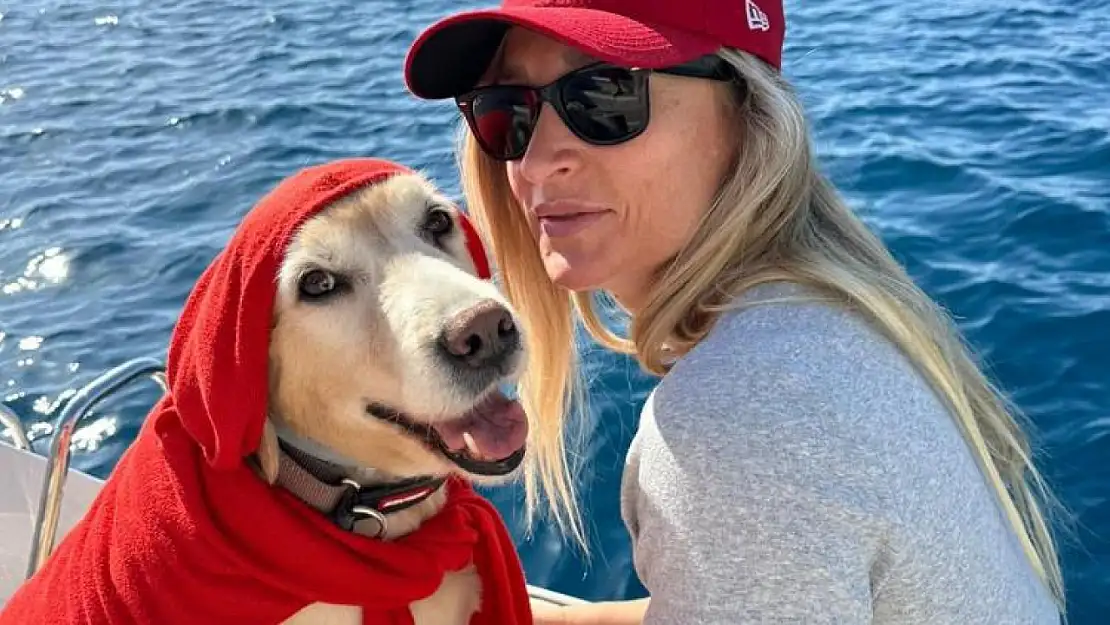 Bodrum'da vicdansızlık kamerada! Köpeği ezdi sonrada kaçtı