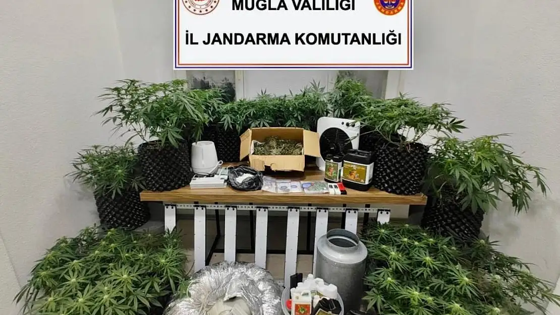 Bodrum'da yasaklı madde operasyonu: 2 tutuklu