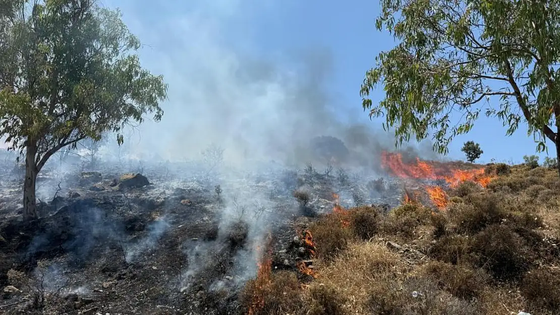 Bodrum Türkbükü'nde yangın! Havadan ve karadan müdahale ediliyor