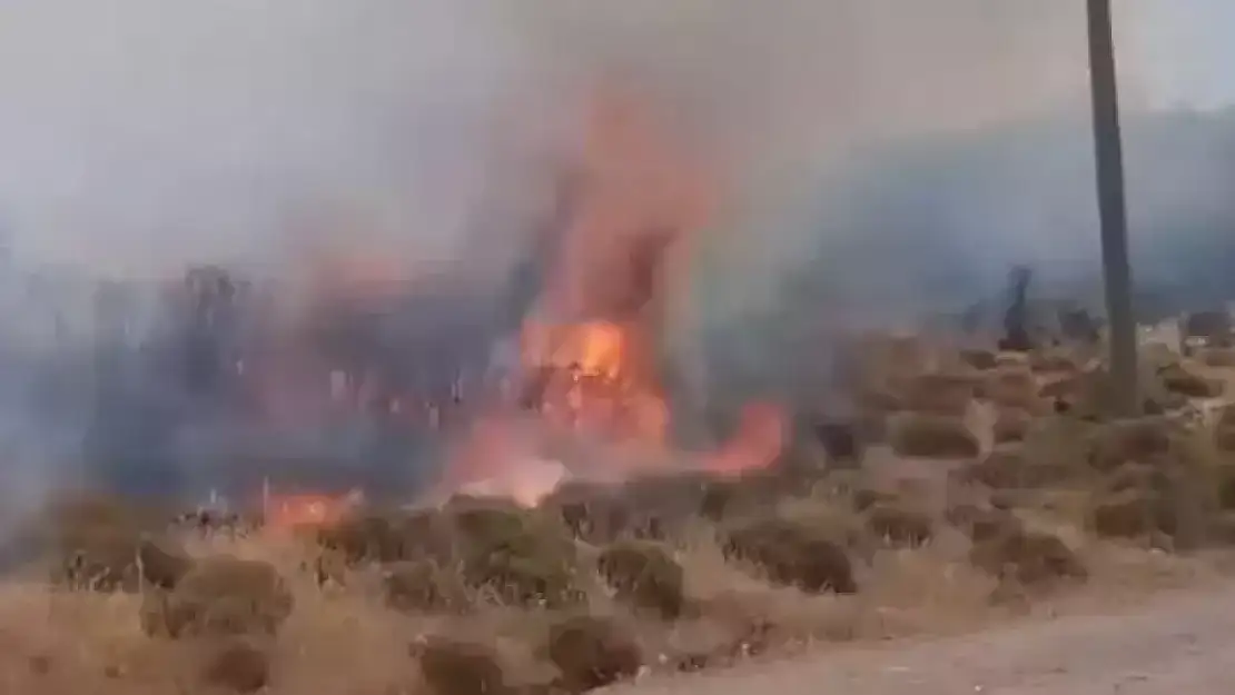 Çanakkale'de korkutan yangın