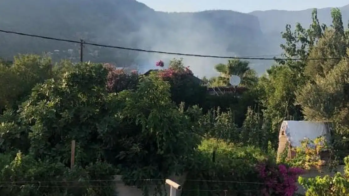 Datça'da korkutan yangın kısa sürede söndürüldü