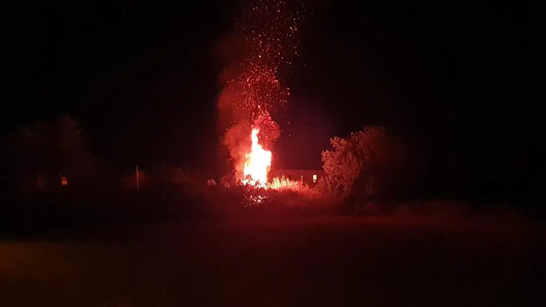 Datça'da ot yangını korkuttu! Ekipler alevlere geçit vermedi
