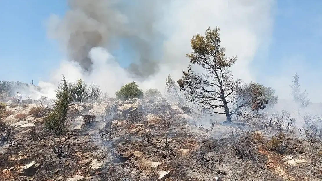 Datça'dan dumanlar yükseliyor! Panorama Tepesi'nde yangın çıktı!