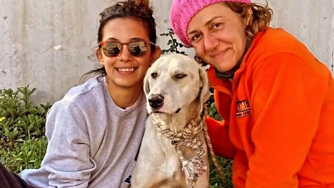 Depremden kurtarılmıştı: Sevimli köpek Datça'da yeni hayatına başladı