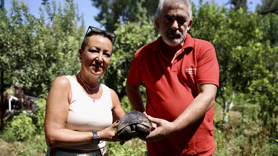 Fethiye'de ahşap ustası, kaplumbağanın kabuğunu onardı!