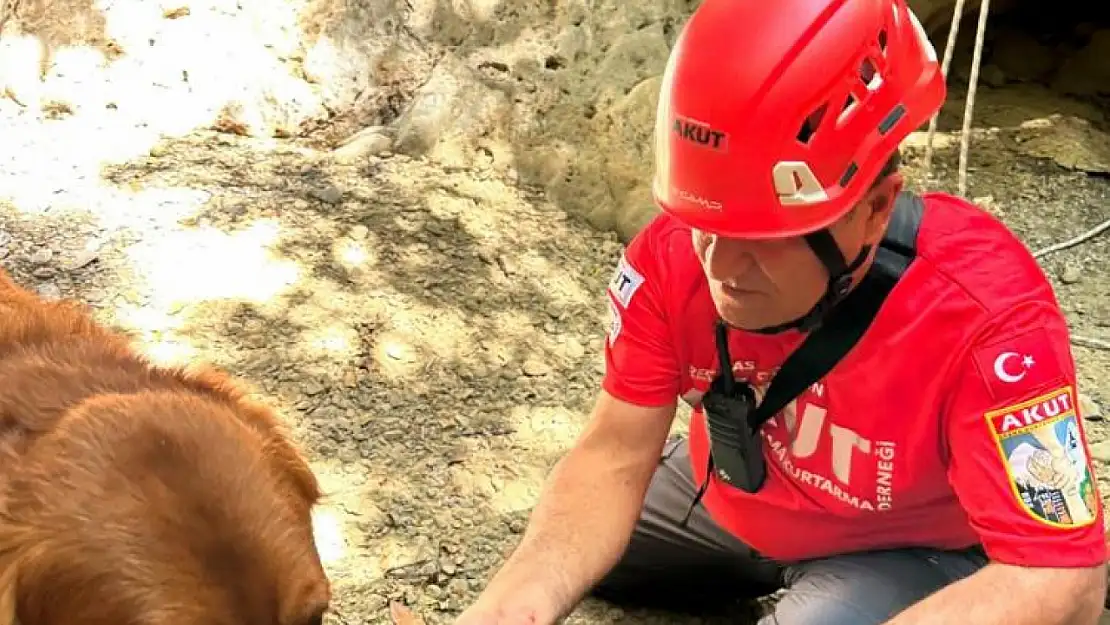 Fethiye'de dere yatağında sıkışan köpek kurtarıldı