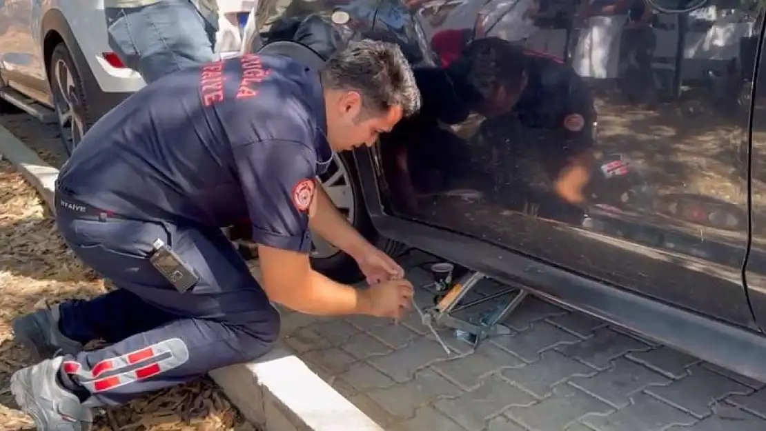 Fethiye'de otomobilin motoruna sıkışan kedi kurtarıldı
