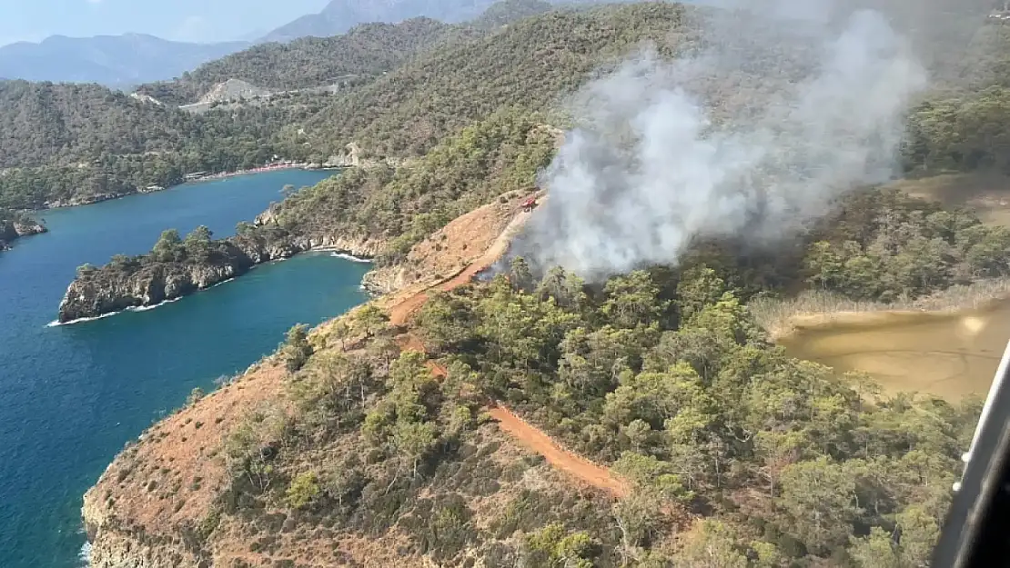 Fethiye Katrancı Koyu yangınında bilanço belli oldu! Ne kadar alan yandı?
