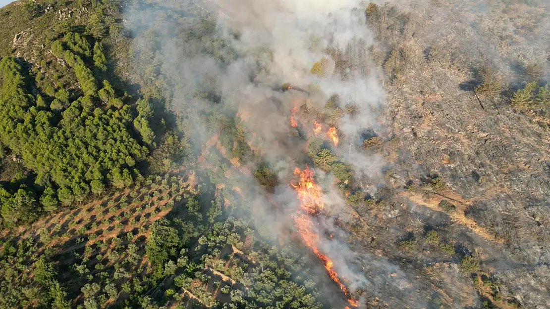 Gazipaşa'daki orman yangını kontrol altına alındı