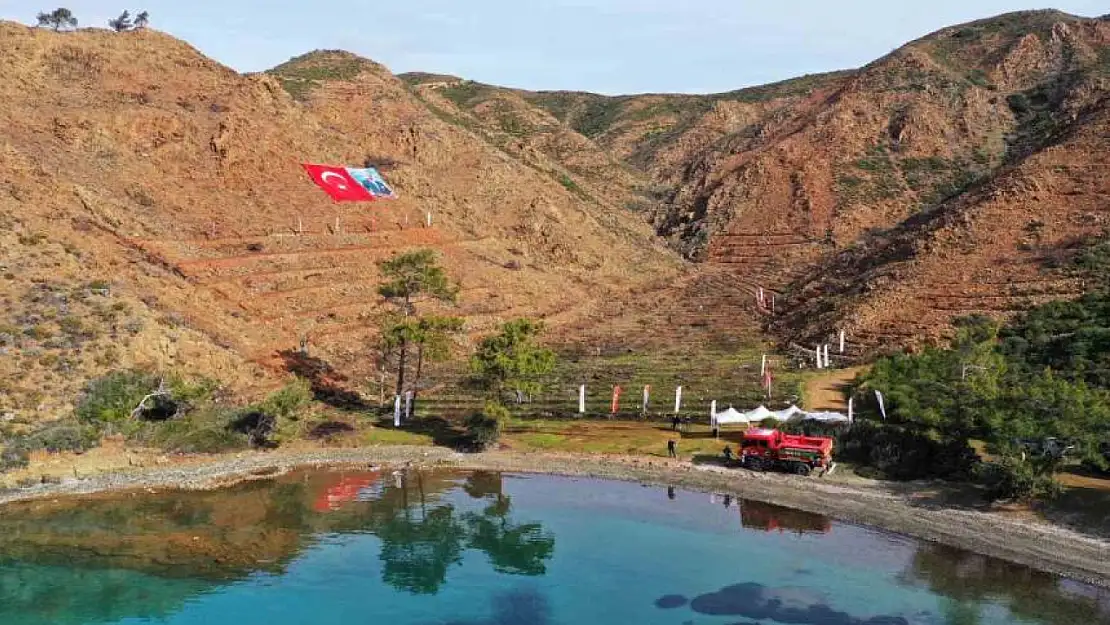 Gölge Koyu'ndaki yangında kül olan alanlar ağaçlandırılıyor