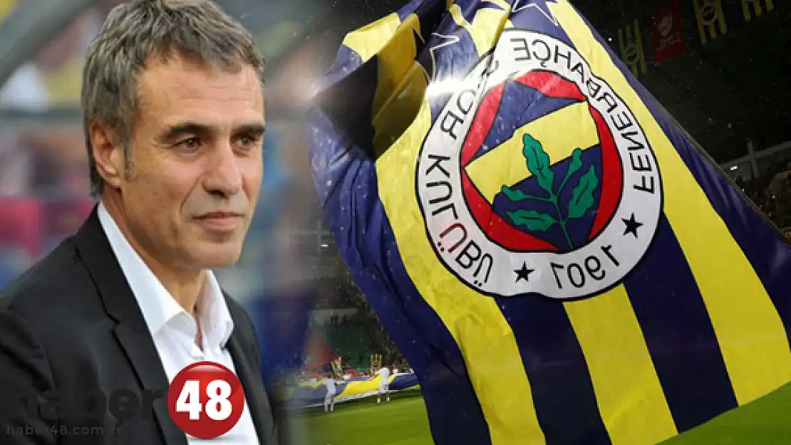 Ersun Yanal, Doğum Gününde Fenerbahçe'nin Başında!