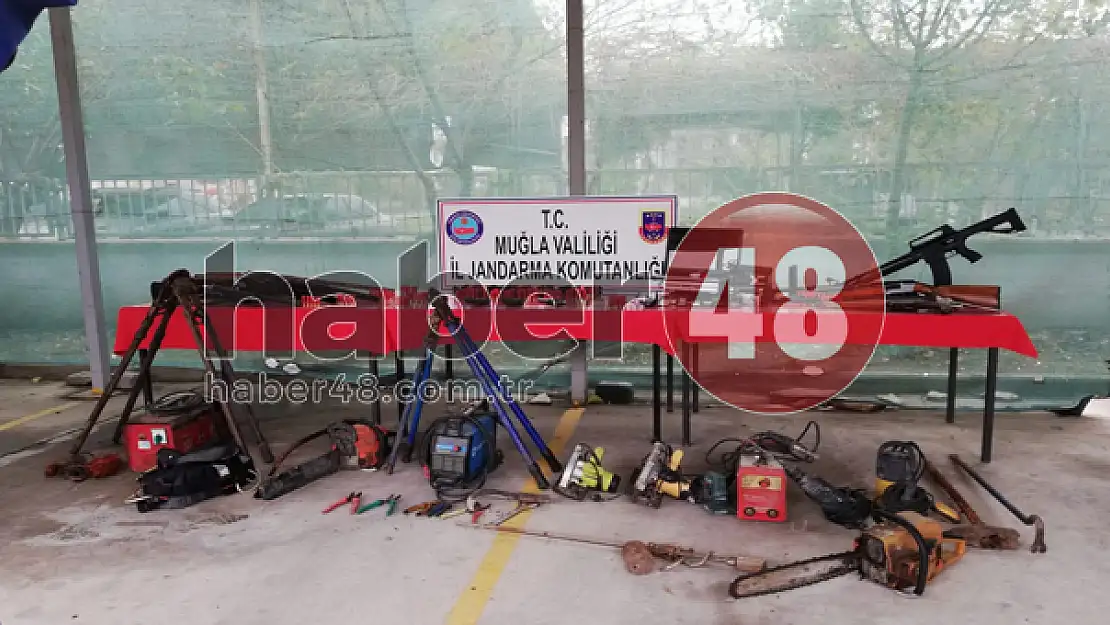JANDARMA HIRSIZLIK ÇETESİNİ ÇÖKERTTİ