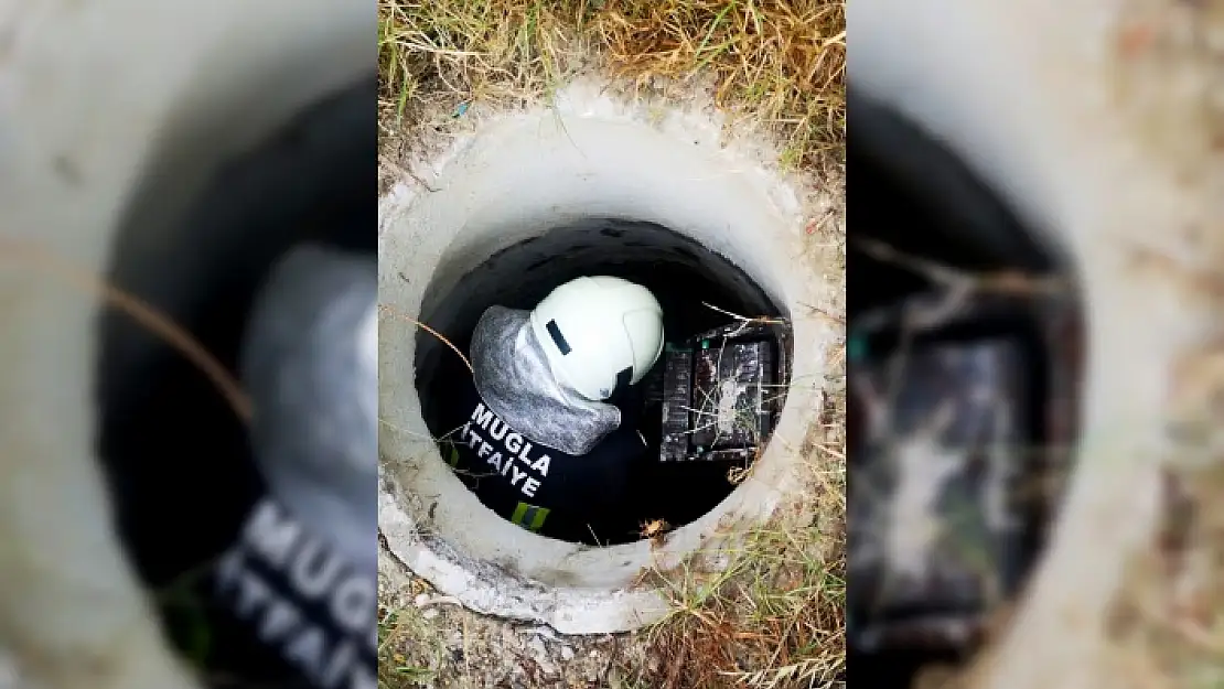 FETHİYE'DE KUYUYA DÜŞEN KÖPEK KURTARILDI