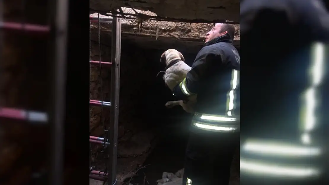 KÖPEĞİN İMDADINA İTFAİYE YETİŞTİ