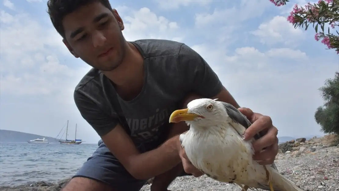 YARALI MARTIYI VATANDAŞLAR KURTARDI