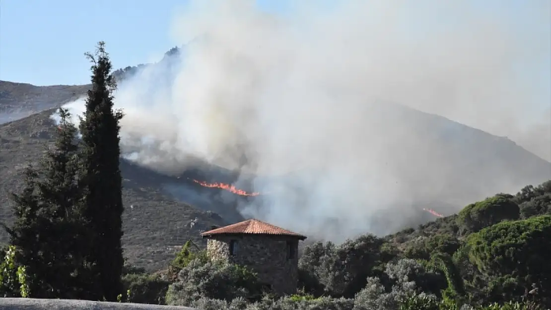 BODRUM'DA ÇIKAN YANGIN KORKUTTU