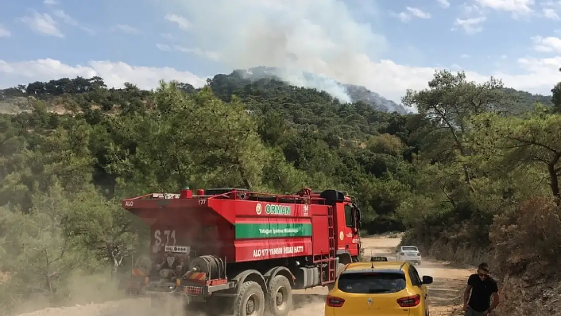 BODRUM'DA ORMAN YANGINI