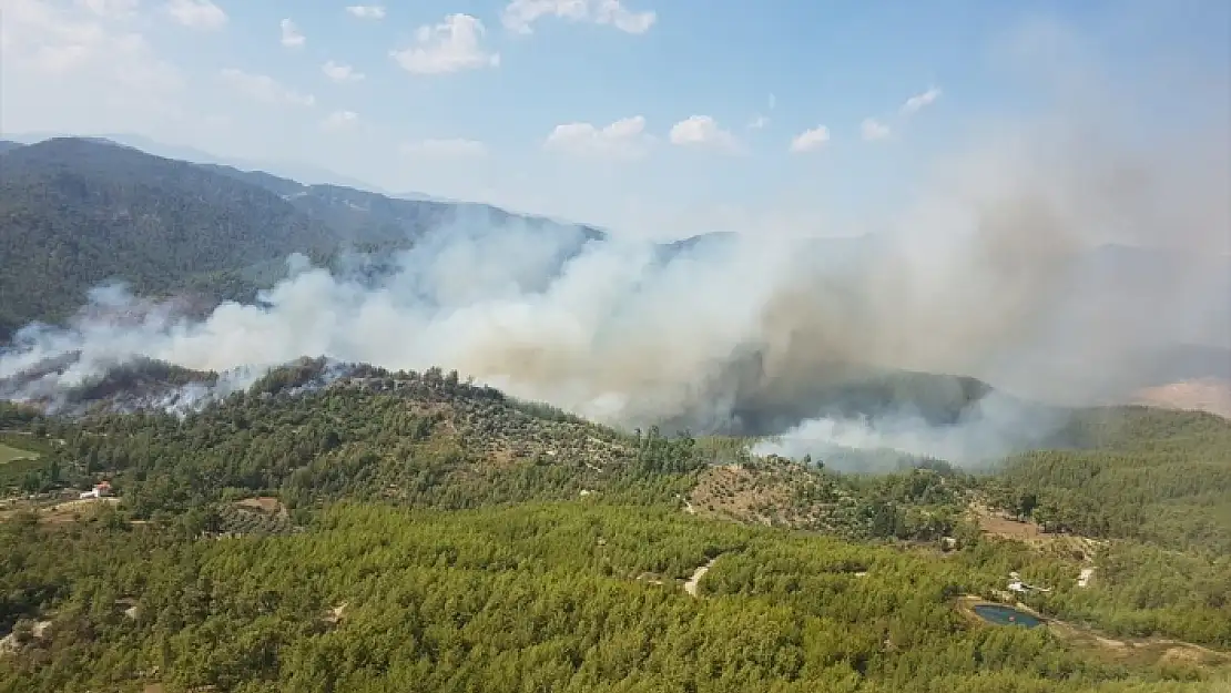 DALAMAN'DA ORMAN YANGINI