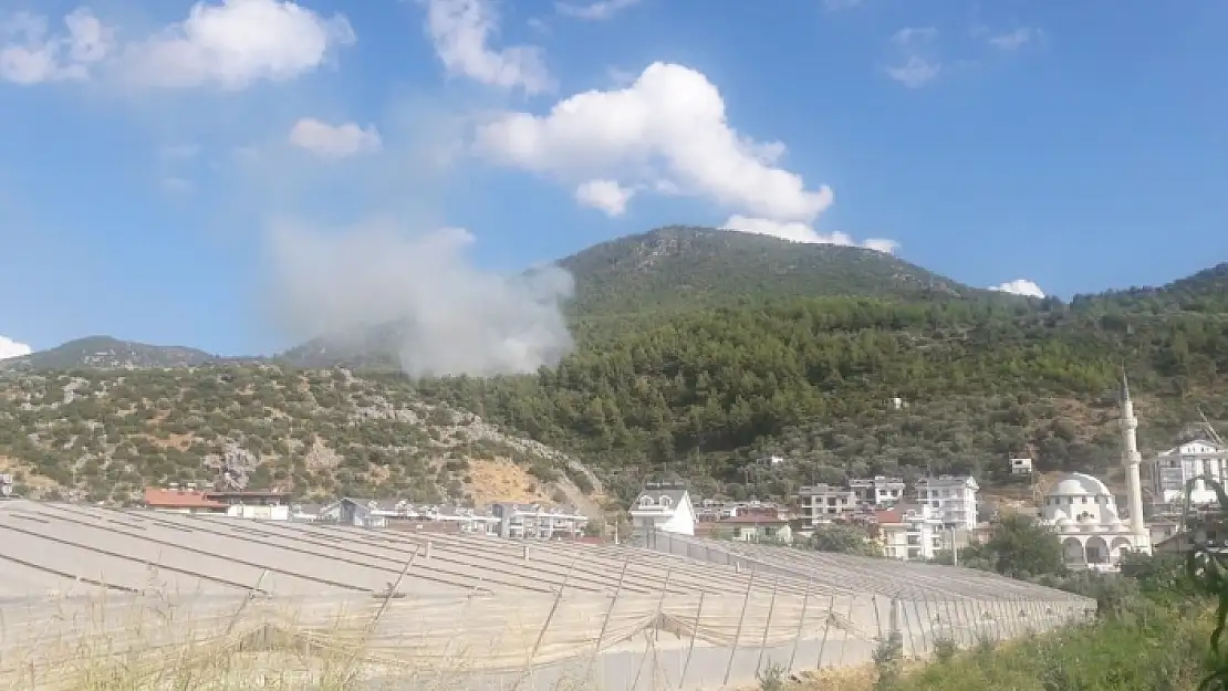 FETHİYE'DE ORMAN YANGINI