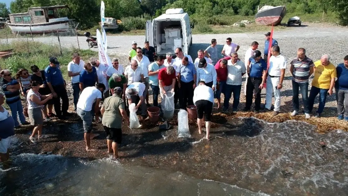 KÖYCEĞİZ GÖLÜ'NE 180 BİN YAVRU SAZAN BIRAKILDI