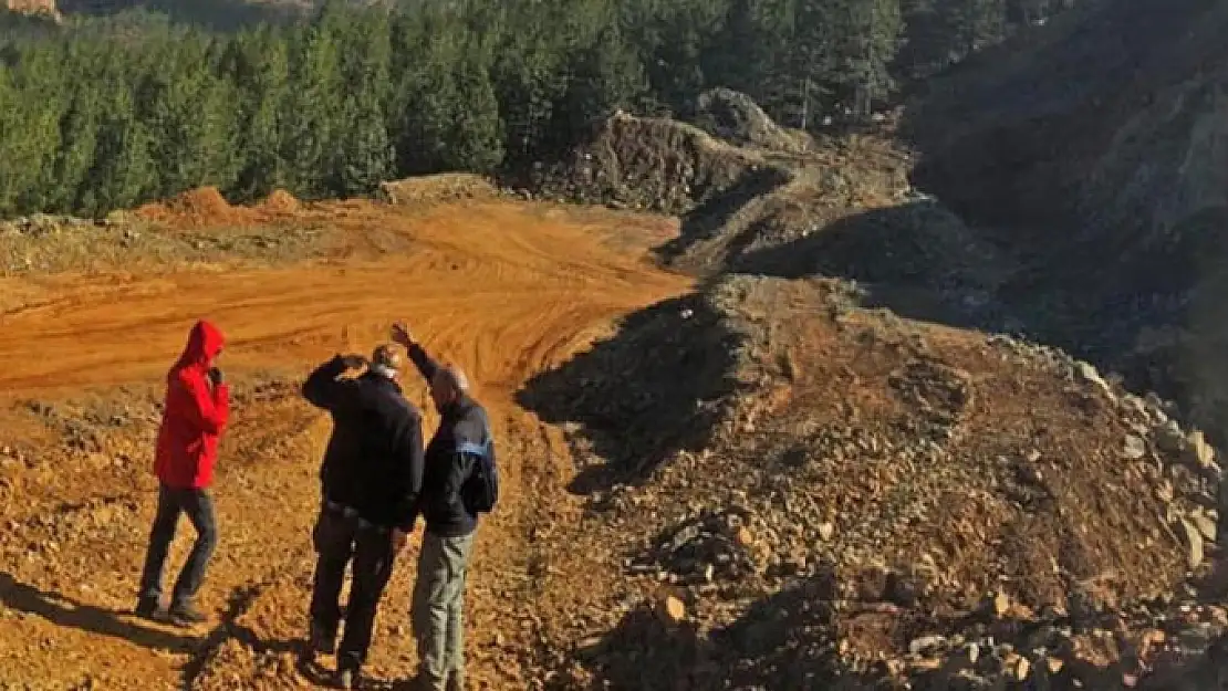 MUĞLA'DA DOĞA KATLİAMI İÇİN TEPKİ ÇEKEN TALEP