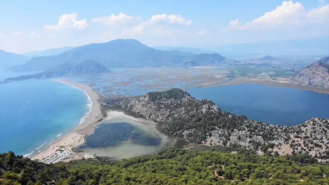 MUĞLA'DA YAVRU CARETTA CARETTA HEYECANI BAŞLADI