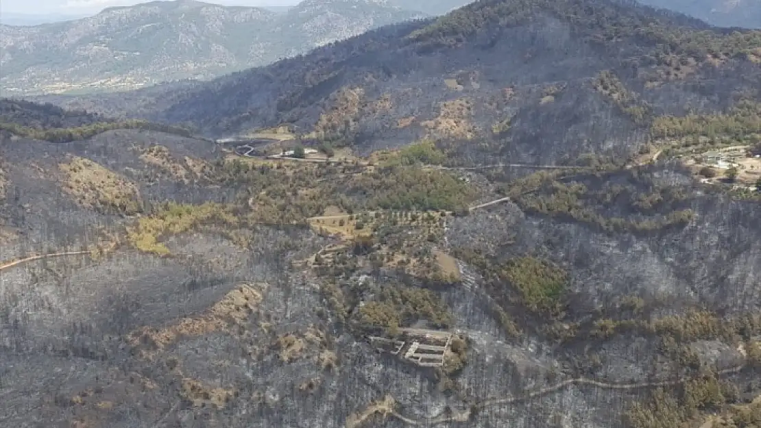 TÜRK HAVA KURUMU: UÇAKLARA İHTİYAÇ YOK DEDİLER