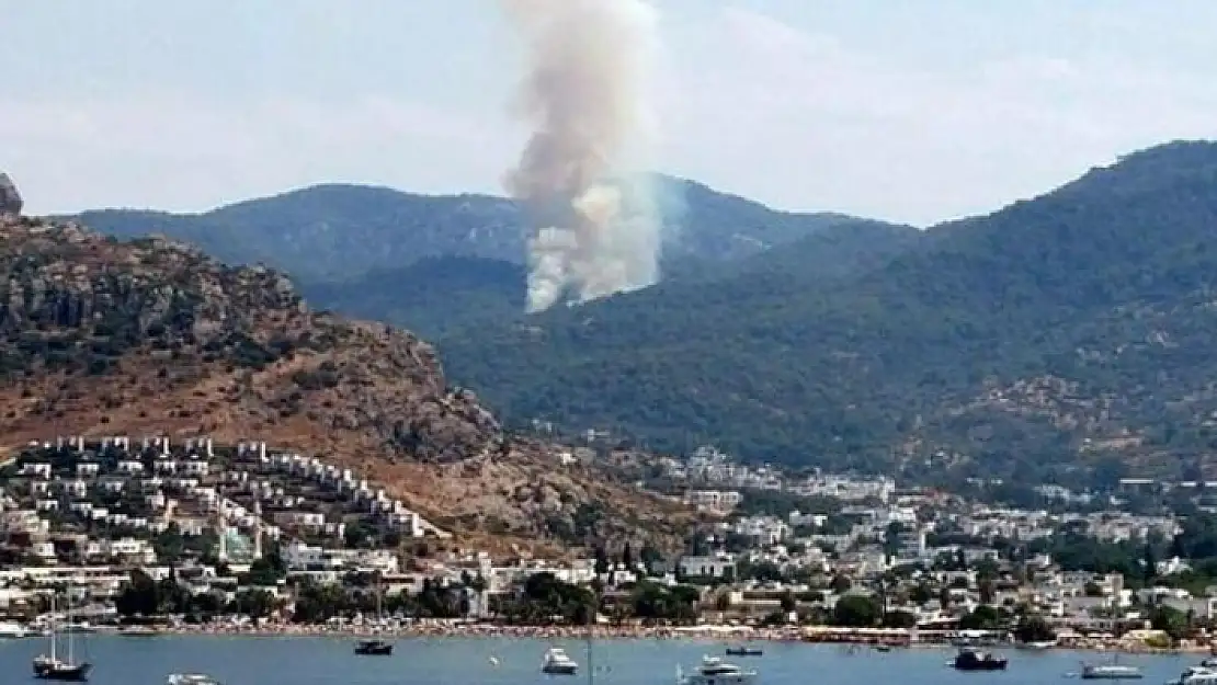 BODRUM'DA ORMAN YANGINI
