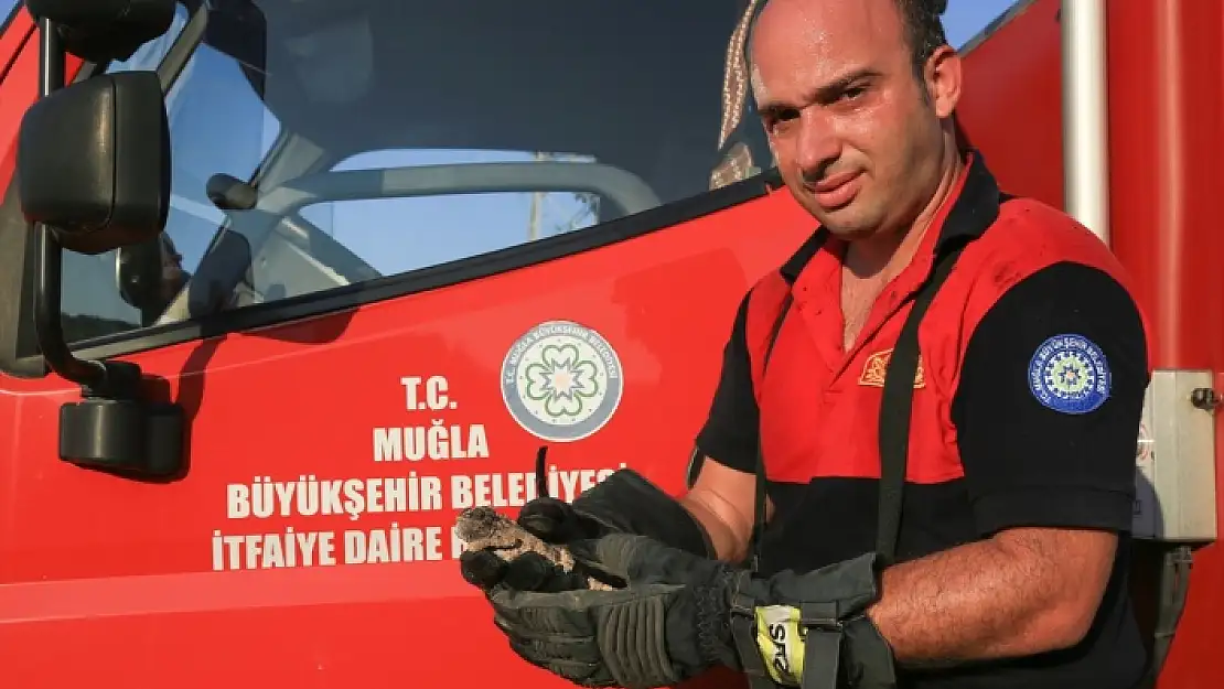 MAKİLİK ALANDAKİ YANGINDA MAHSUR KALAN BUKALEMUNU İTFAİYE KURTARDI