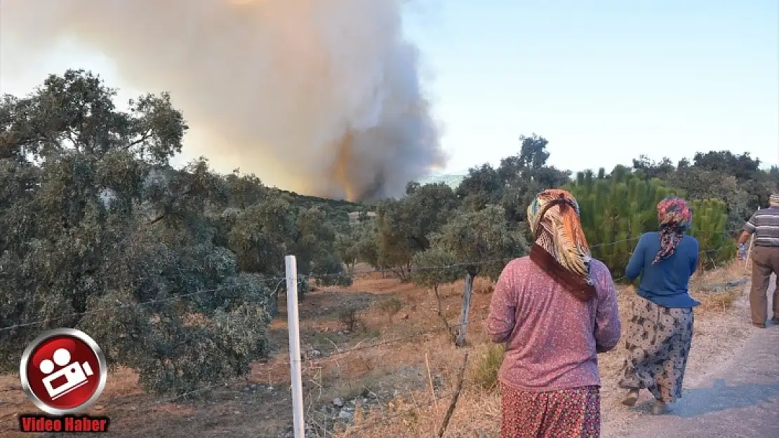 MİLAS'TA ORMAN YANGINI BÜYÜDÜ