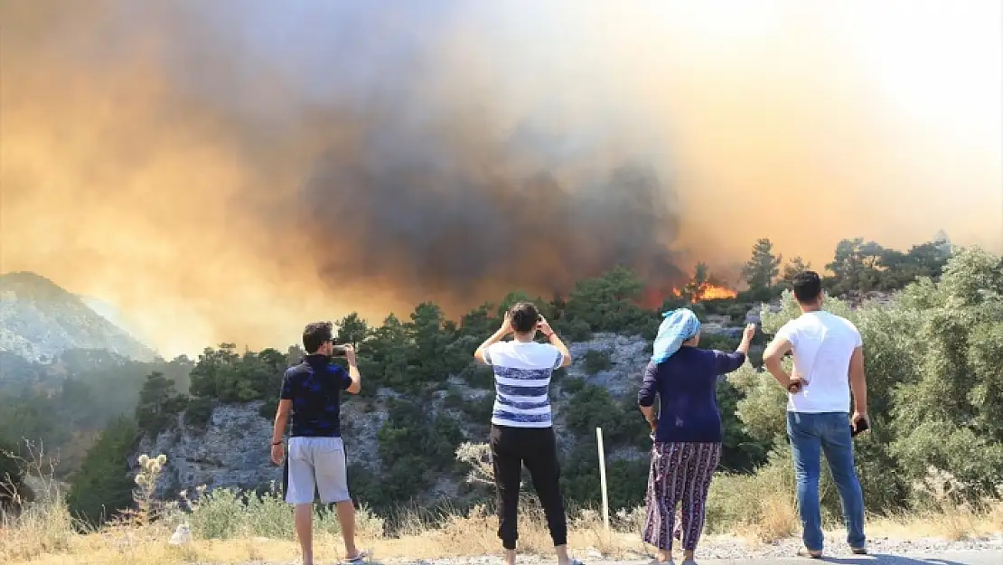 MİLAS'TAKİ ORMAN YANGINI TARIM ARAZİLERİNE SIÇRADI