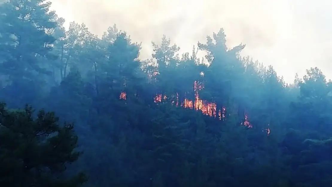 MUĞLA'DA ÇIKAN YANGIN 1 HEKTAR ORMANI KÜLE ÇEVİRDİ