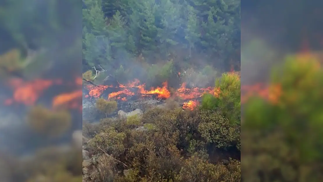 MUĞLA'DA DÜN ÇIKAN ORMAN YANGINLARI KONTROL ALTINA ALINDI