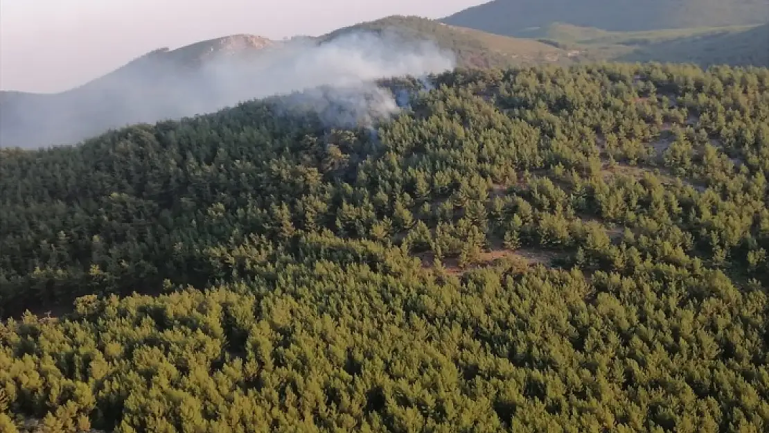 MUĞLA'DA ORMAN YANGINI