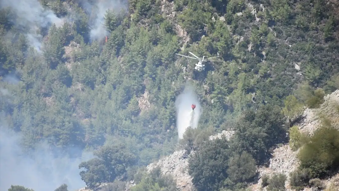 MUĞLA'DA ORMAN YANGINI