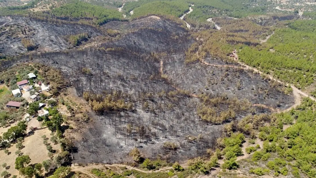 BODRUM'DAKİ YANGININ ZARARI HAVADAN GÖRÜNTÜLENDİ