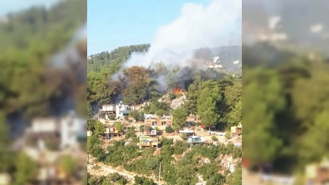 SEYDİKEMER'DE ORMAN YANGINI 5 DÖNÜM ALANA ZARAR VERDİ