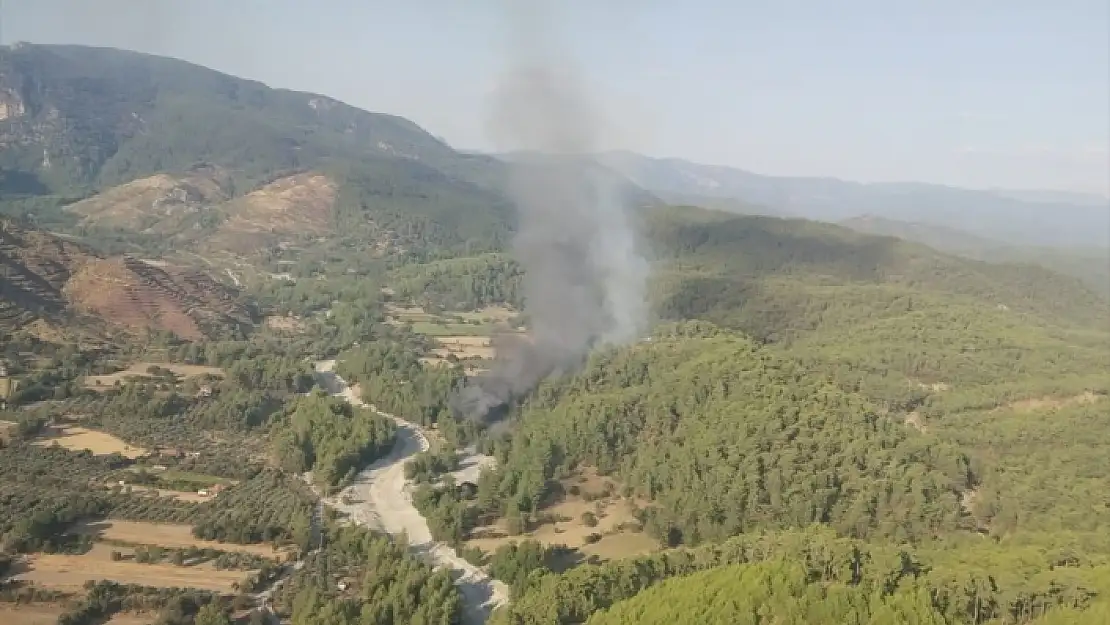 ULA'DA ORMAN YANGINI