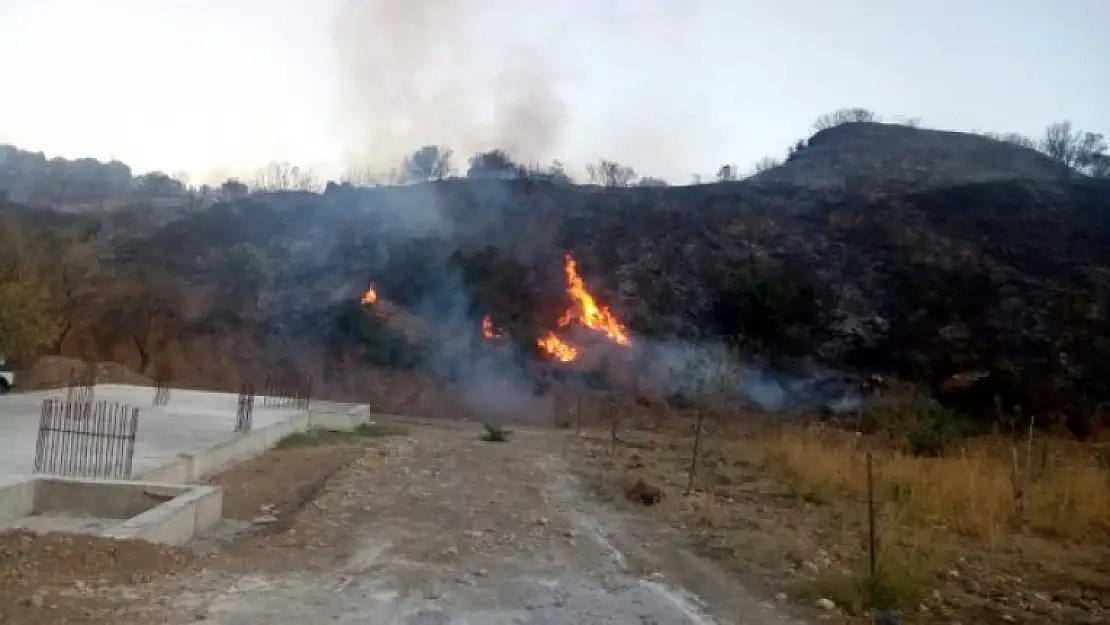 DATÇA'DA TARIM ALANINDA ÇIKAN YANGINLARDA SABOTAJ İHTİMALİ