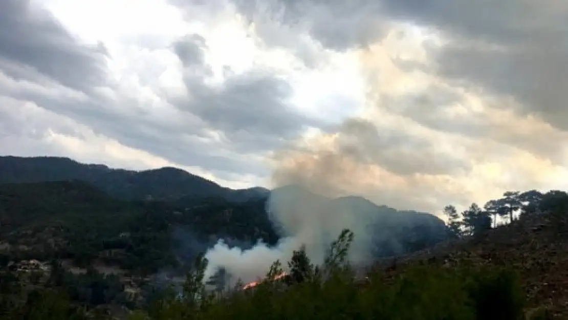 MUĞLA'DA YILDIRIM YANGINLARI