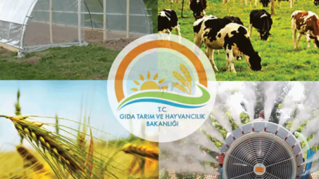 2019 YILI TARIM VE HAYVANCILIK DESTEKLERİ AÇIKLANDI